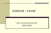 AMISM - FISM Gli incontri territoriali 2003-2004.