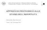 APPROCCIO PROTEOMICO ALLO STUDIO DELLINFERTILIT À Dottoranda: Elisa Giacomini Tutore: Prof. Giuseppe Ricci XXIV Ciclo di Dottorato in Medicina Materno.