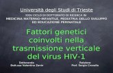 Fattori genetici coinvolti nella trasmissione verticale del virus HIV-1 Dottoranda Dott.ssa Valentina Zanin Relatore Prof. Sergio Crovella Università degli.