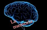 La memoria meccanica : consiste nella ripetizione di movimenti nella memorizzazione di meccanismi con i quali reagiamo agli stimoli La.