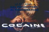 LA COCAINA: DAL PRODUTTORE AL CONSUMATORE. Cocaina, il rapporto della Ue: raddoppiano i decessi, allarme in Italia. Trafficanti e spacciatori affinano.