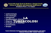 Università degli Studi di Modena e Reggio Emilia Clinica di Malattie dellApparato Respiratorio Direttore Prof. L. M. Fabbri LA TUBERCOLOSI epidemiologia.