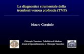 La diagnostica strumentale della trombosi venosa profonda (TVP) Mauro Gargiulo Chirurgia Vascolare, Policlinico di Modena Scuola di Specializzazione in.