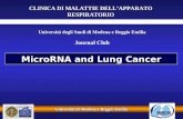 Università di Modena e Reggio Emilia MicroRNA and Lung Cancer CLINICA DI MALATTIE DELLAPPARATO RESPIRATORIO Università degli Studi di Modena e Reggio Emilia.