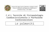 Università degli Studi di Modena e Reggio Emilia Clinica di Malattie dellApparato Respiratorio Direttore Prof. L. M. Fabbri Le polmoniti C.d.L Tecniche.