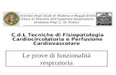 Università degli Studi di Modena e Reggio Emilia Clinica di Malattie dellApparato Respiratorio Direttore Prof. L. M. Fabbri Le prove di funzionalità respiratoria.