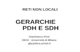 RETI NON LOCALI GERARCHIE PDH E SDH Gianfranco Prini DICO - Università di Milano gfp@dico.unimi.it.