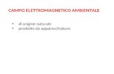 CAMPO ELETTROMAGNETICO AMBIENTALE di origine naturale prodotto da apparecchiature.
