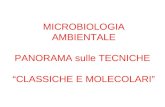 MICROBIOLOGIA AMBIENTALE PANORAMA sulle TECNICHE CLASSICHE E MOLECOLARI.