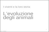 2° A 2011-12 1 I viventi e la loro storia Levoluzione degli animali.