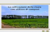 1 La coltivazione delle risaie con utilizzo di compost ALBERTO MASSA SALUZZO Villarasca Neorurale Soc. Agricola – Rognano.