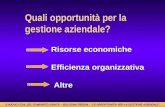 Risorse economiche Efficienza organizzativa Altre Quali opportunità per la gestione aziendale? Il NUOVO CCNL DEL COMPARTO SANITA – BOLOGNA 7/5/2004 - LE.