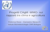 Progetti CAgM -WMO- sui rapporti tra clima e agricoltura Federica Rossi - Giampiero Maracchi Istituto Biometeorologia CNR Bologna.