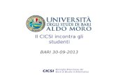Consiglio Interclasse dei Corsi di Studio in Informatica CICSI Il CICSI incontra gli studenti BARI 30-09-2013.
