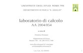 Lab. Calc. AA 2004/051 laboratorio di calcolo AA 2004/054 a cura di Domizia Orestano Dipartimento di Fisica Stanza 159 - tel. (06 5517) 7281 orestano.