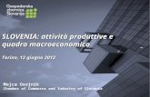 Mojca Osojnik Chamber of Commerce and Industry of Slovenia SLOVENIA: attività produttive e quadro macroeconomico Tori no, 1 2 giugno 2012.
