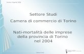 Settore Studi Torino, 6 aprile 2005 Settore Studi Camera di commercio di Torino Nati-mortalità delle imprese della provincia di Torino nel 2004.