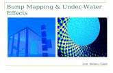 Bump Mapping & Under-Water Effects Dott. Stefano Tubini.