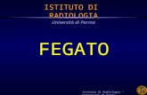 Istituto di Radiologia – Università di Parma FEGATO ISTITUTO DI RADIOLOGIA Università di Parma.
