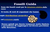 Fossili Guida Sono dei fossili usati per la datazione relativa delle roccedatazione relativa Si tratta di resti di organismi che hanno avuto: - ampia distribuzione.
