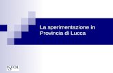 La sperimentazione in Provincia di Lucca. Struttura della presentazione Isfol – Struttura nazionale di valutazione Fse Area valutazione politiche risorse.