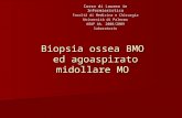 Biopsia ossea BMO ed agoaspirato midollare MO Corso di Laurea in Infermieristica Facoltà di Medicina e Chirurgia Università di Palermo AOUP AA. 2008/2009.