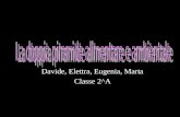 Davide, Elettra, Eugenia, Marta Classe 2^A. La doppia piramide per chi cresce.