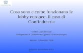Delegazione di Confindustria Bruxelles Cosa sono e come funzionano le lobby europee: il caso di Confindustria Matteo Carlo Borsani Delegazione di Confindustria.