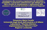 Domenico Maria Cavallo Università degli Studi dellInsubria e di Milano Laboratorio "Rischio Chimico - Implementazione REACH & CLP Regione Lombardia Introduzione.