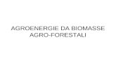 AGROENERGIE DA BIOMASSE AGRO-FORESTALI. Cosè la biomassa? Il termine biomassa comparve in Italia alla fine degli anni 70 quando, dopo la crisi energetica.