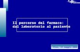 Il percorso del farmaco: dal laboratorio al paziente Pisa, 15 maggio 2006.