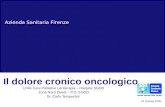 Azienda Sanitaria Firenze Il dolore cronico oncologico Unità Cure Palliative Leniterapia – Hospice SGDD Zona Nord-Ovest – P.O. SGDD Dr. Carlo Tempestini.