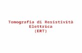 Tomografia di Resistività Elettrica (ERT). Distance (m) Electrode Survey level 1 3 5 7 C+ P+ P- C- P+P-C-C+ Lo sviluppo di strumenti multi-elettrodo ha.