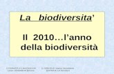La biodiversita Il 2010…lanno della biodiversità © 2009-2010 Nuova Secondaria EDITRICE LA SCUOLA C.PARAZZI e C.MAZZOCCHI Liceo LEONARDO Brescia.