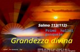 Grandezza divina Salmo 113(112) modif. Sr.Caterina fsp (Testo Cei) CRISTO RE/dom.3 set./trasf.6 ag./1 nov./Comune:B.V.M.- Past.Dot.xsa-Vergini-Santi-Sante.