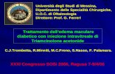 Trattamento delledema maculare diabetico con iniezione intravitreale di Triamcinolone acetonide XXXI Congresso SOSi 2006, Ragusa 7-9/4/06 Università degli.