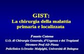 GIST: La chirurgia della malattia primaria e localizzata Fausto Catena U.O. di Chirurgia Generale, dUrgenza e dei Trapianti Direttore Prof AD Pinna Policlinico.