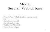 1 Mod.8 Servizi Web di base World Wide Web:definizioni e componenti http Scripting server side Scripting client side WebServer:APACHE Proxy Server :Squid.