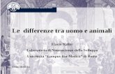 Le differenze tra uomo e animali Flavio Keller Laboratorio di Neuroscienze dello Sviluppo Università Campus Bio-Medico di Roma Urio, 18/08/04.