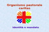 Organismo pastorale caritas Identità e mandato. in principio non era Caritas … A inizio del XX secolo: una costellazione di azioni di carità, in prevalenza.