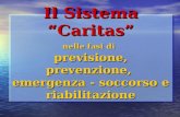 Il Sistema Caritas nelle fasi di previsione, prevenzione, emergenza - soccorso e riabilitazione.