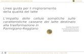 Linee guida per il miglioramento della qualità del latte A. Summer Assemblea Generale Qualità del latte: opportunità per il territorio parmense - Parma.