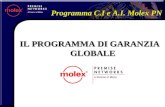 Programma C.I e A.I. Molex PN IL PROGRAMMA DI GARANZIA GLOBALE.