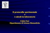 Il protocollo sperimentale e i calcoli in laboratorio Fabio Fusi Dipartimento di Scienze Biomediche.