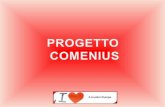Cosè il Progetto Comenius? Un progetto interculturale a cui partecipano tutti i paesi dellUnione Europea che fornisce alle scuole un sostegno per realizzare.