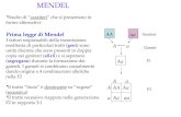 MENDEL Studio di caratteri che si presentano in forme alternative Prima legge di Mendel I fattori responsabili della trasmissione ereditaria di particolari.