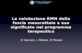 La valutazione RMN della fascia mesorettale e suo significato nel programma terapeutico G Vaccari, L Molani, M Perani.