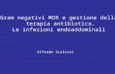 Gram negativi MDR e gestione della terapia antibiotica. Le infezioni endoaddominali Alfredo Scalzini.