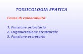 Cause di vulnerabilità: 1. Funzione prioritaria 2. Organizzazione strutturale 3. Funzione escretoria TOSSICOLOGIA EPATICA.