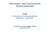 1 SIIE Sistema di Interoperabilità IMPORT - EXPORT Ministero del Commercio Internazionale Progetto di Gemellaggio Meda MA04/AA/FI01 MA04/AA/FI01.